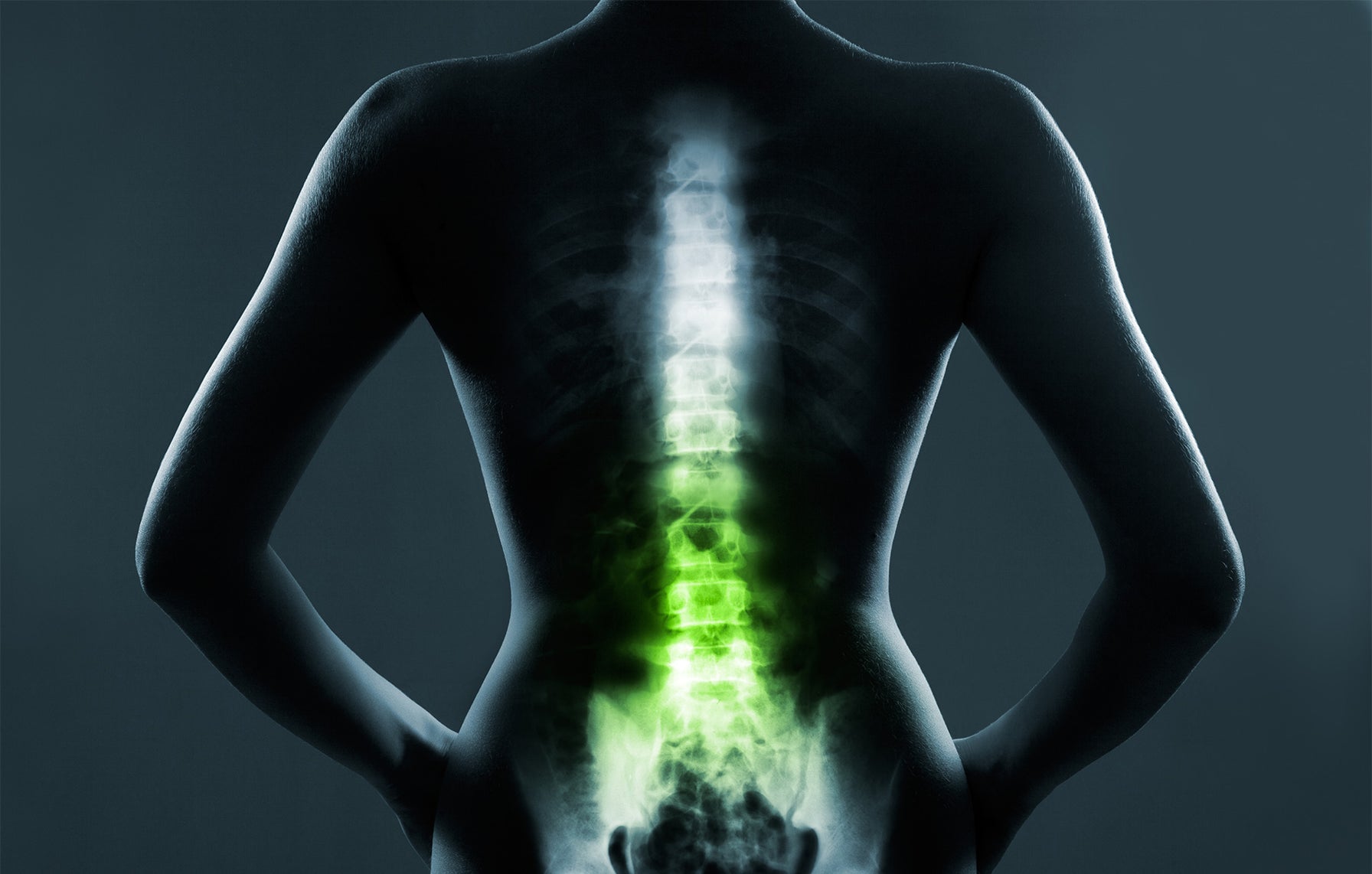 What is Lumbar Support? | Spinal Armor